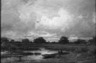 On the Marsh