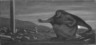 Brooklyn Museum: The Enemy Sowing Tares