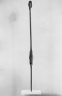 Brooklyn Museum: Stave