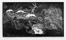 The Creation of the Universe (L
