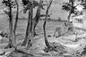 On the Delaware
