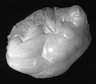 Brooklyn Museum: The Wave