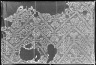 Headcloth, Fragment