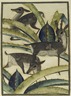 Deer and Cactus