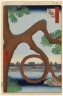 Brooklyn Museum: Moon Pine, Ueno, No. 89 from One Hundred Famous Views of Edo