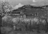 View of the Hill, Fiesole (Vue du Coteau, Fiesole)
