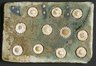Tile with Floral Inlays