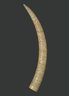 Elephant Tusk Carved with Figures in Relief