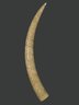 Brooklyn Museum: Elephant Tusk Carved with Figures in Relief