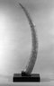 Brooklyn Museum: Elephant Tusk Carved with Figures in Relief