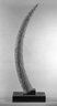 Brooklyn Museum: Elephant Tusk Carved with Figures in Relief