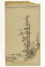 Brooklyn Museum: Trees