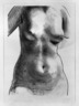 Torso of a Woman