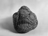 Brooklyn Museum: Earth Monster (Cipactli)