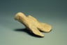 Small Model of a Bird