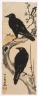Two Crows