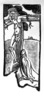 Crucifixion