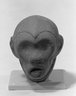 Head of a Monkey