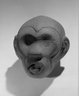 Brooklyn Museum: Head of a Monkey
