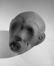 Brooklyn Museum: Head of a Monkey