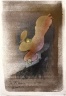 Miss Lo&Atilde;&macr;e Fuller