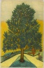 Tree of Life