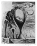 Composition No. 19