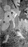 Brooklyn Museum: Cherry Blossom Viewing Picnic