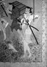 Brooklyn Museum: Cherry Blossom Viewing Picnic