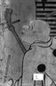 Brooklyn Museum: Cherry Blossom Viewing Picnic