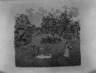 The Orchard (Le Verger)