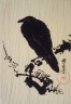 Crow on a Branch