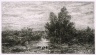 Fisherman on River with Ducks
