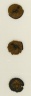 Roundel - Fruit Basket