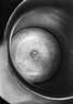 Brooklyn Museum: Beaker
