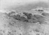 Brooklyn Museum: Cranberry Island Fog
