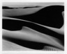 Dunes, Oceano, California