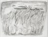 The Grasses