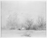 Snow Scene