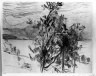 View of the Walchensee (Blick am Walchensee)