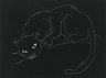 Night Series: The Cat
