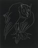 Night Series: The Owl