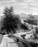 Brooklyn Museum: Lover's Walk