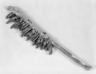 Warrior Society Dance Wand