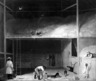 Brooklyn Museum: Barn Scene