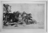 Clump of Trees with a Vista