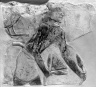 Fragment of Relief