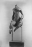 Torso di Donna
