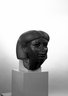 Brooklyn Museum: Head from a Female Sphinx