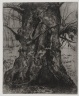Tree Trunk